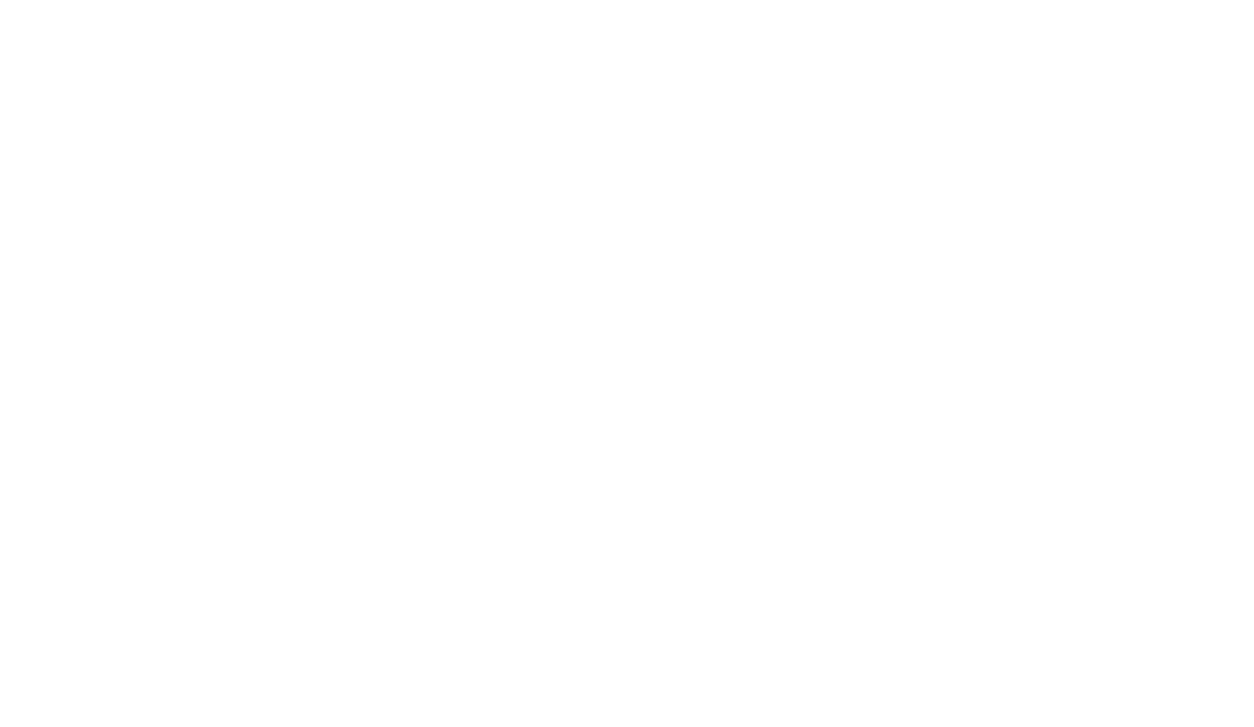 Non-Rev Ninja